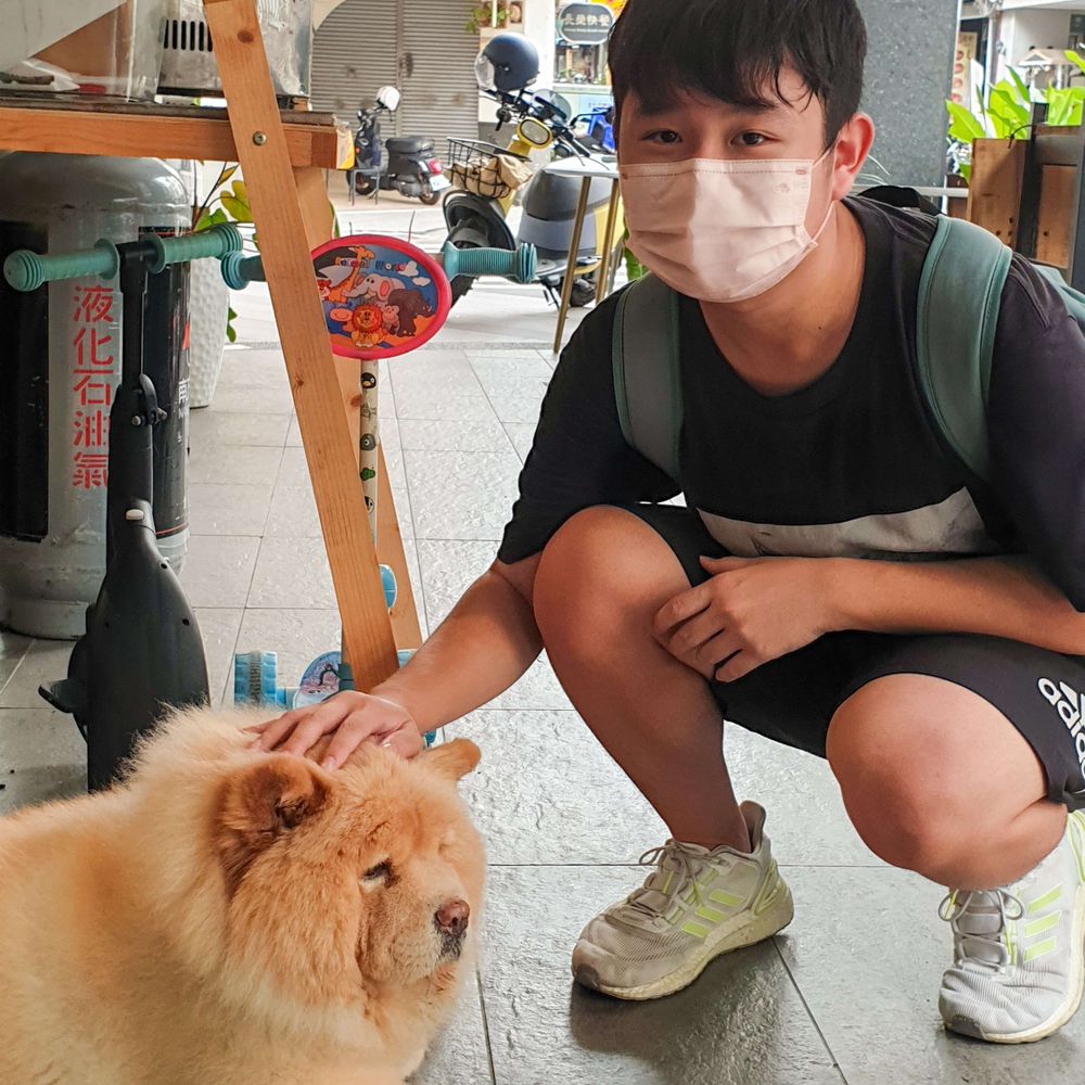 爆言狗🐶