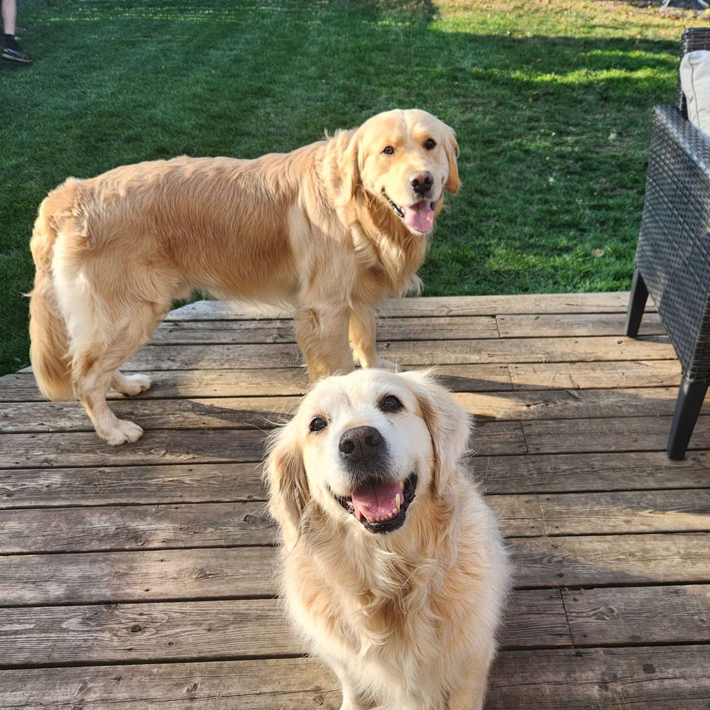 Courtney, Gracie, Patrick