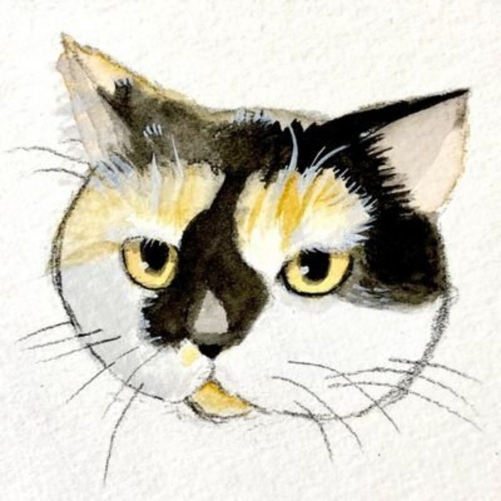 あゆ