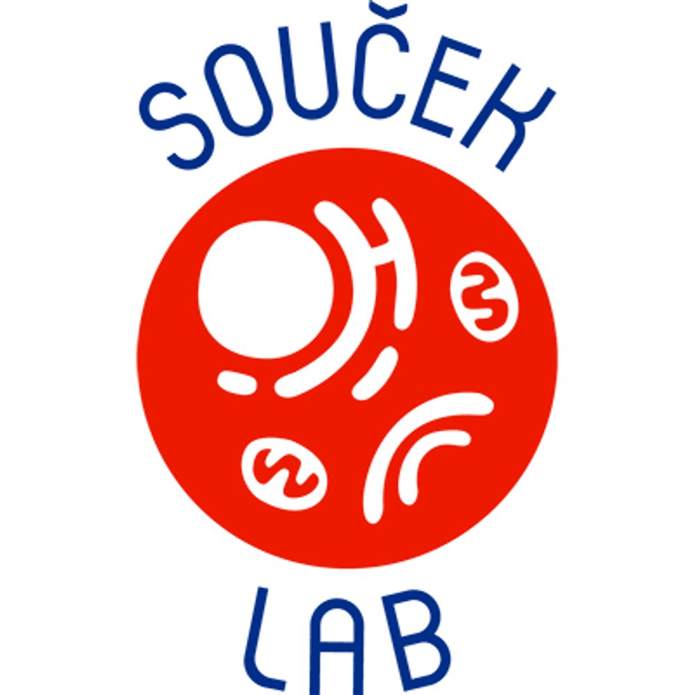 Souceklab