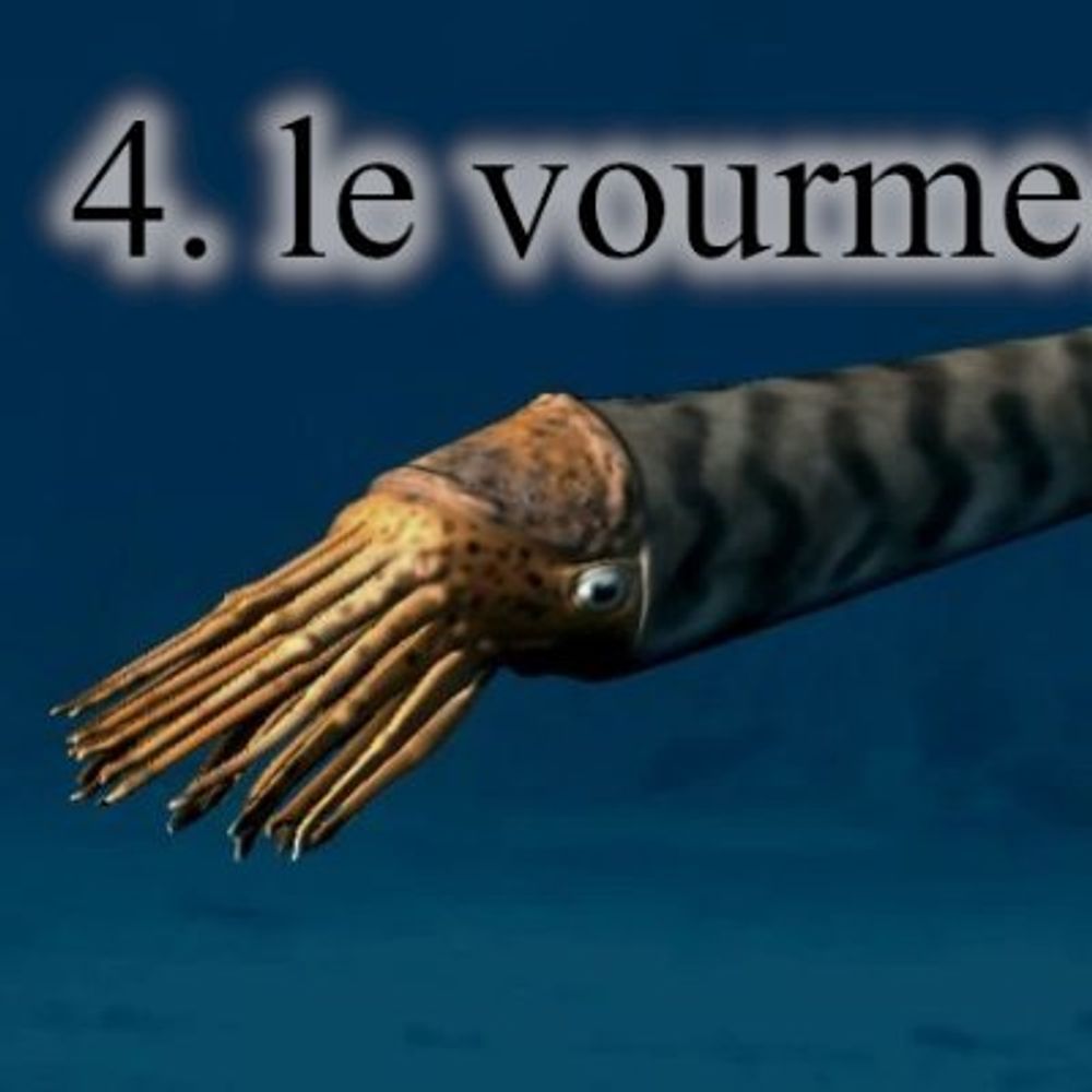 le vourme