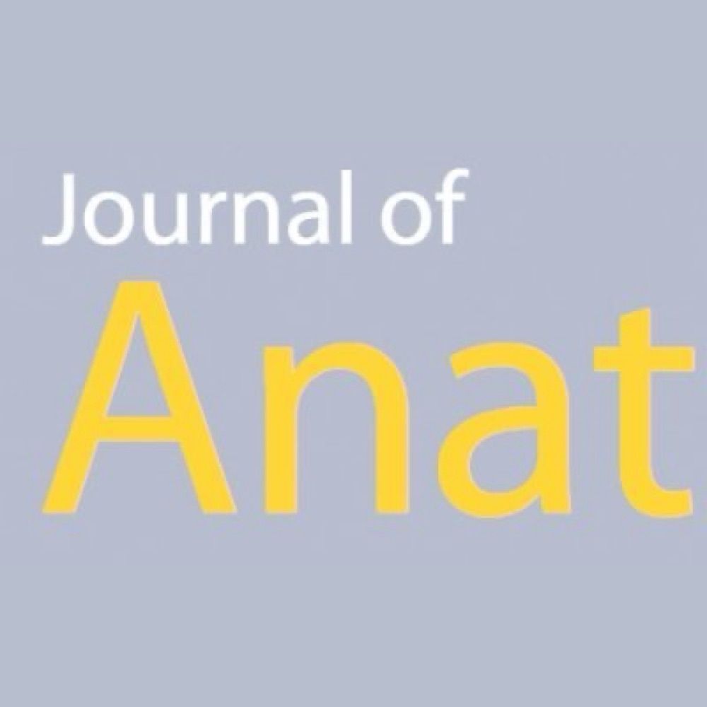 Journal of Anatomy