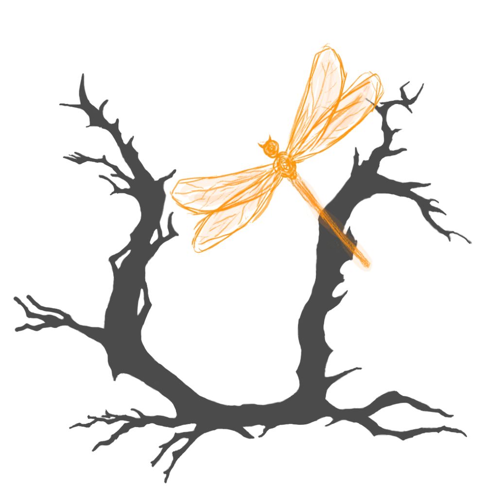 Untame Research Collective