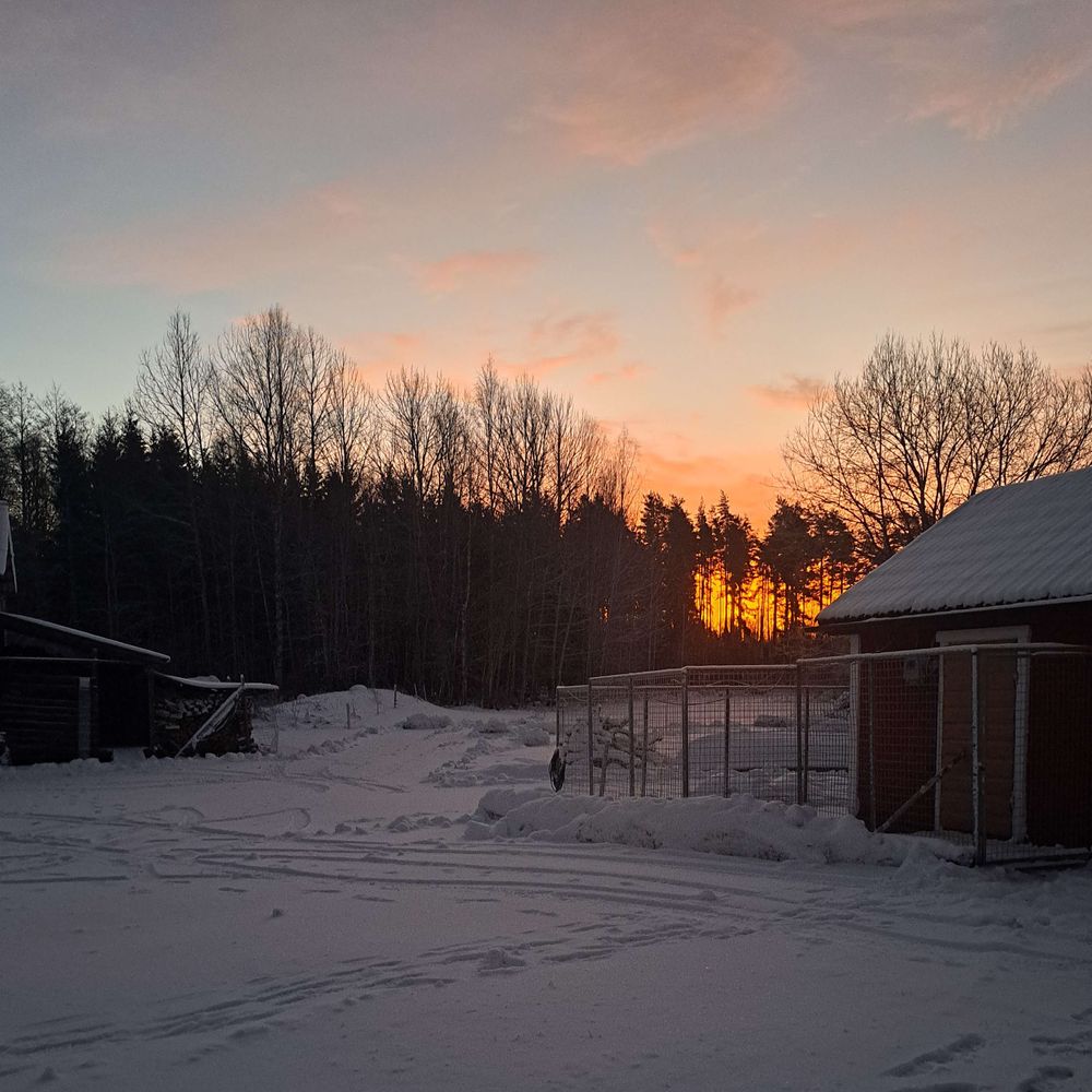 Jägaren som jagar 