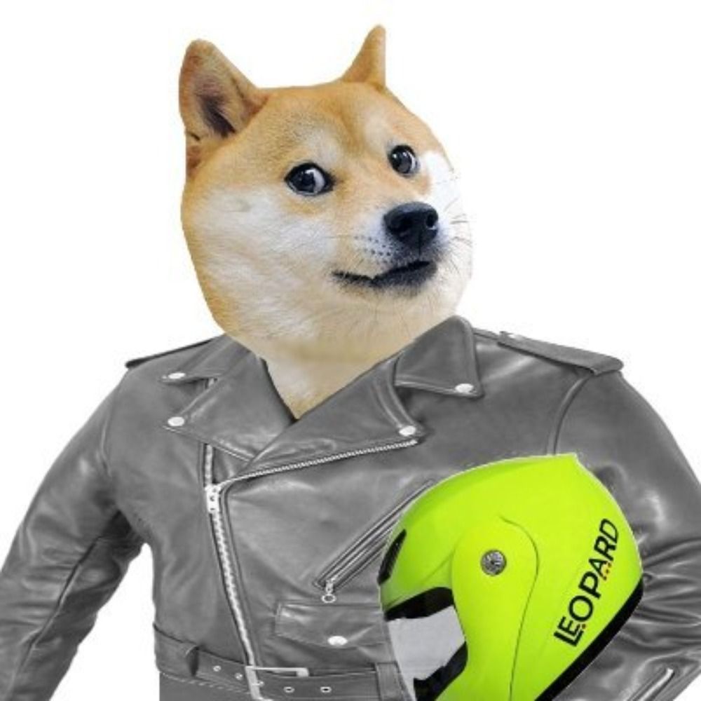 FoxacheUK's avatar