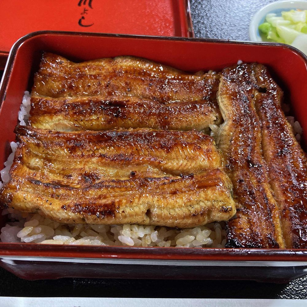 圧倒的鰻