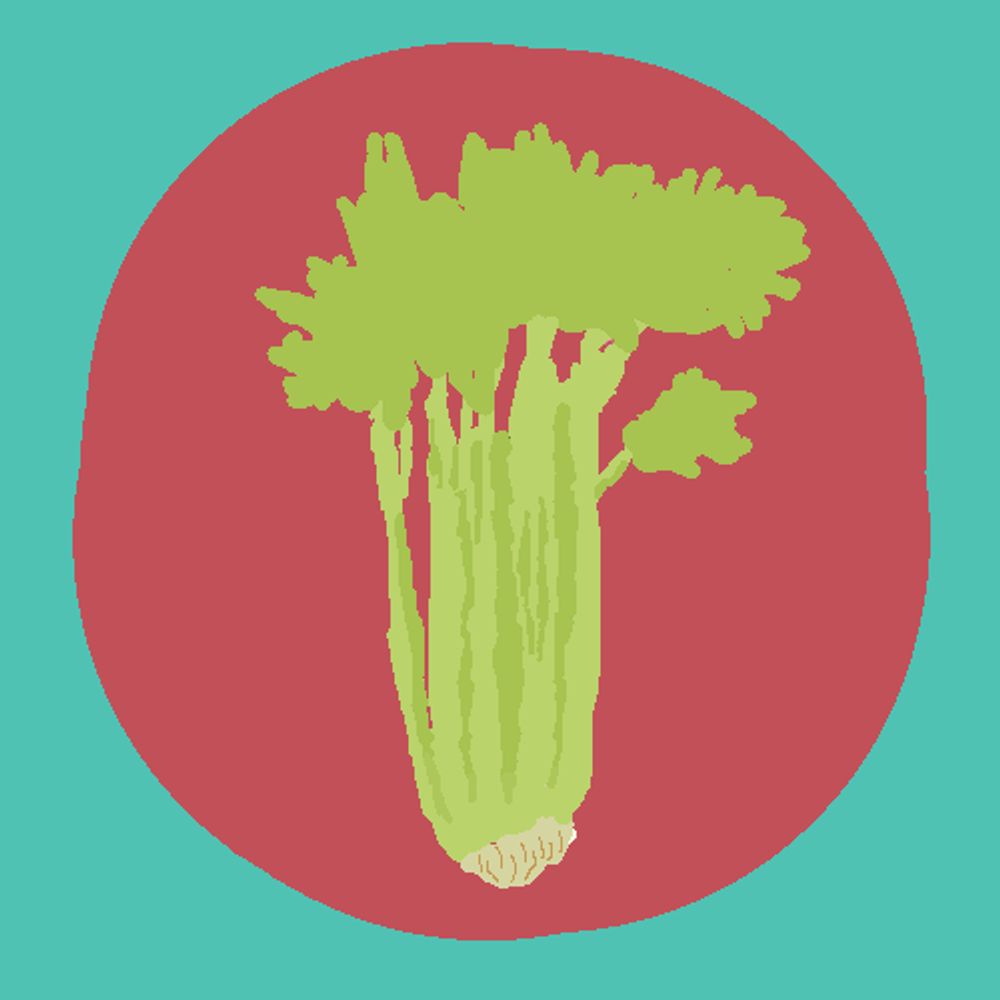 CeleryDev