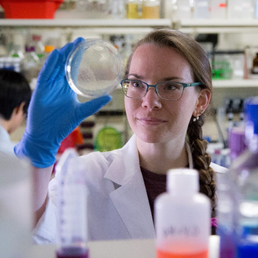 Krista Marie, PhD