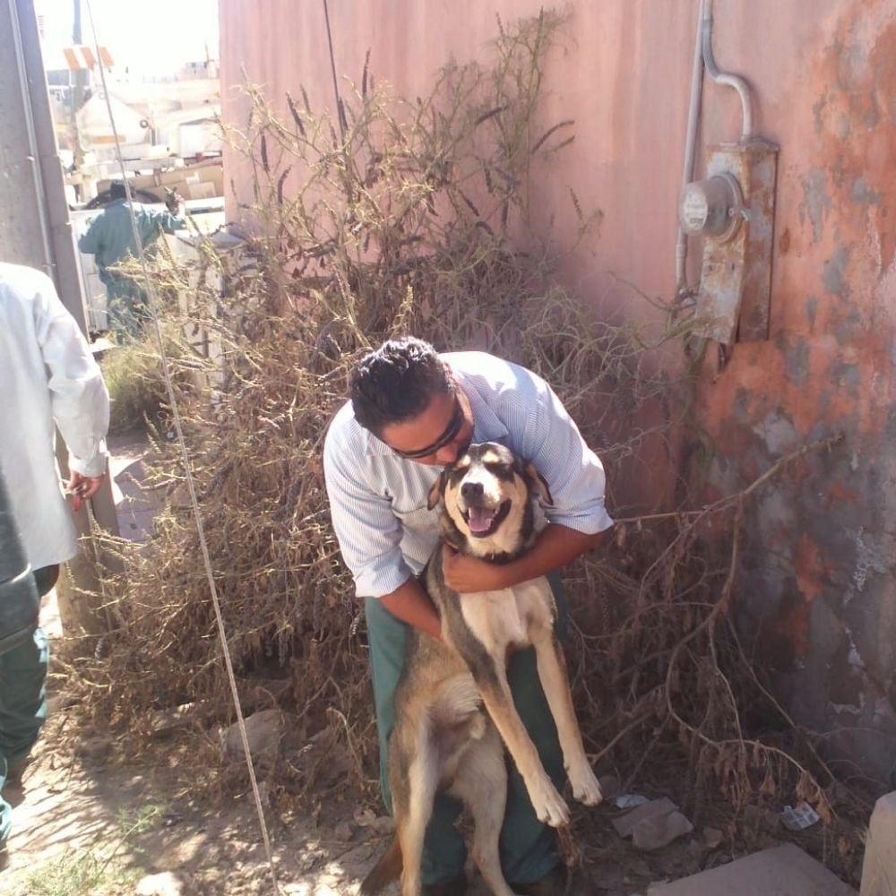 Pedro Castellanos C.