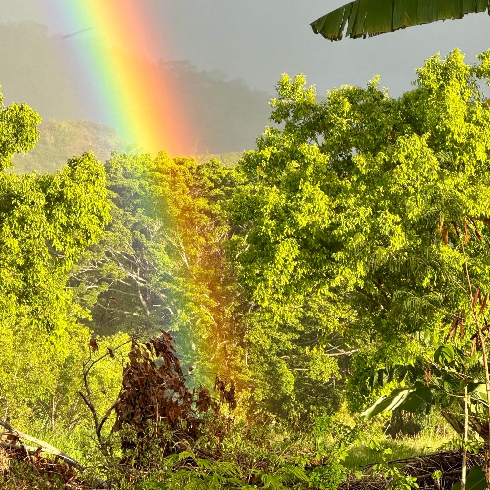 The Edison Institute for Food & Environmental Security