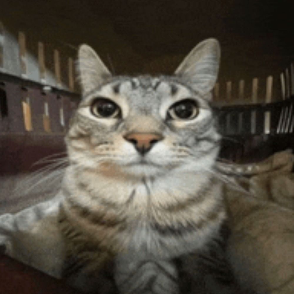 André