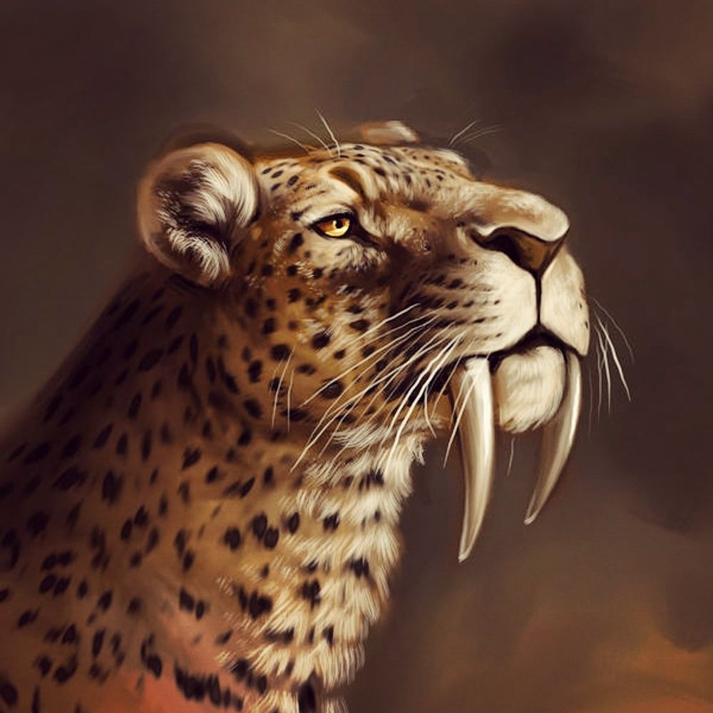 Pip Tacla • Animal Artist