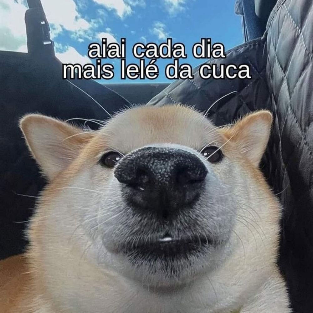 Pijama de sushi