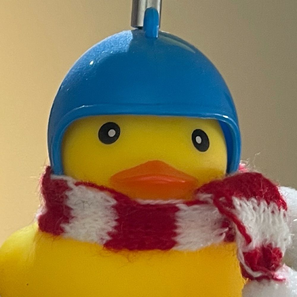 Duck