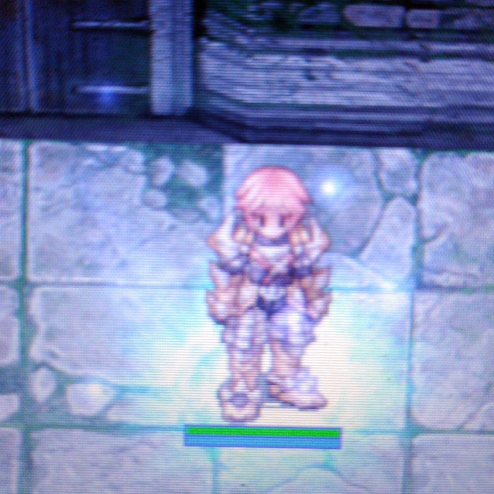 MAlegriaSN