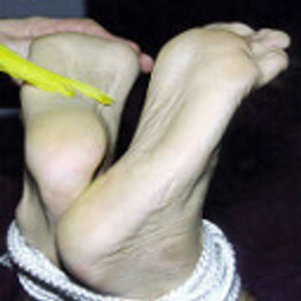 Serial Tickler
