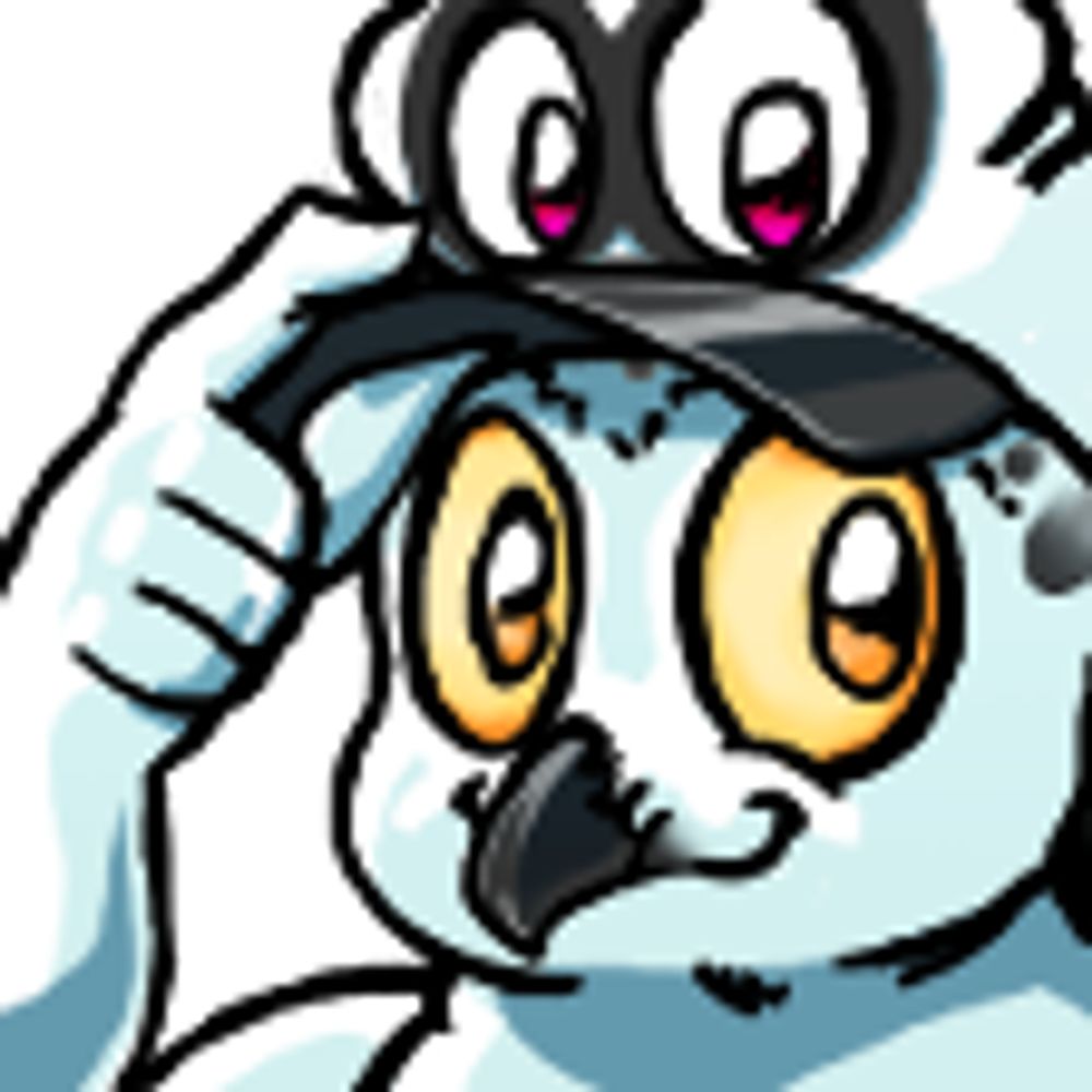 jplkarlyr.bsky.social profile picture