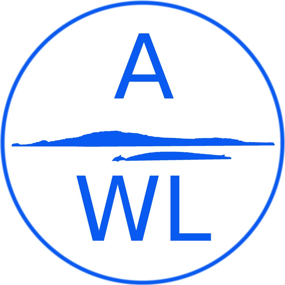 Azores Whale Lab - Cetacean Ecology Group