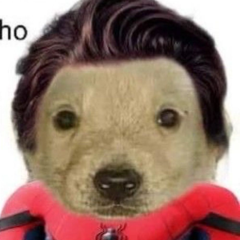 Ingko
