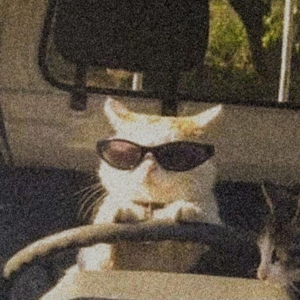M É R I L I N 