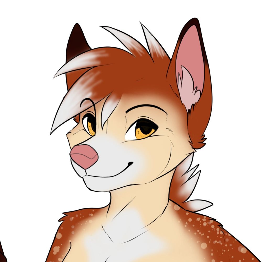 MoxFox