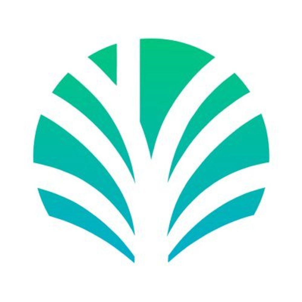 Palm Economy