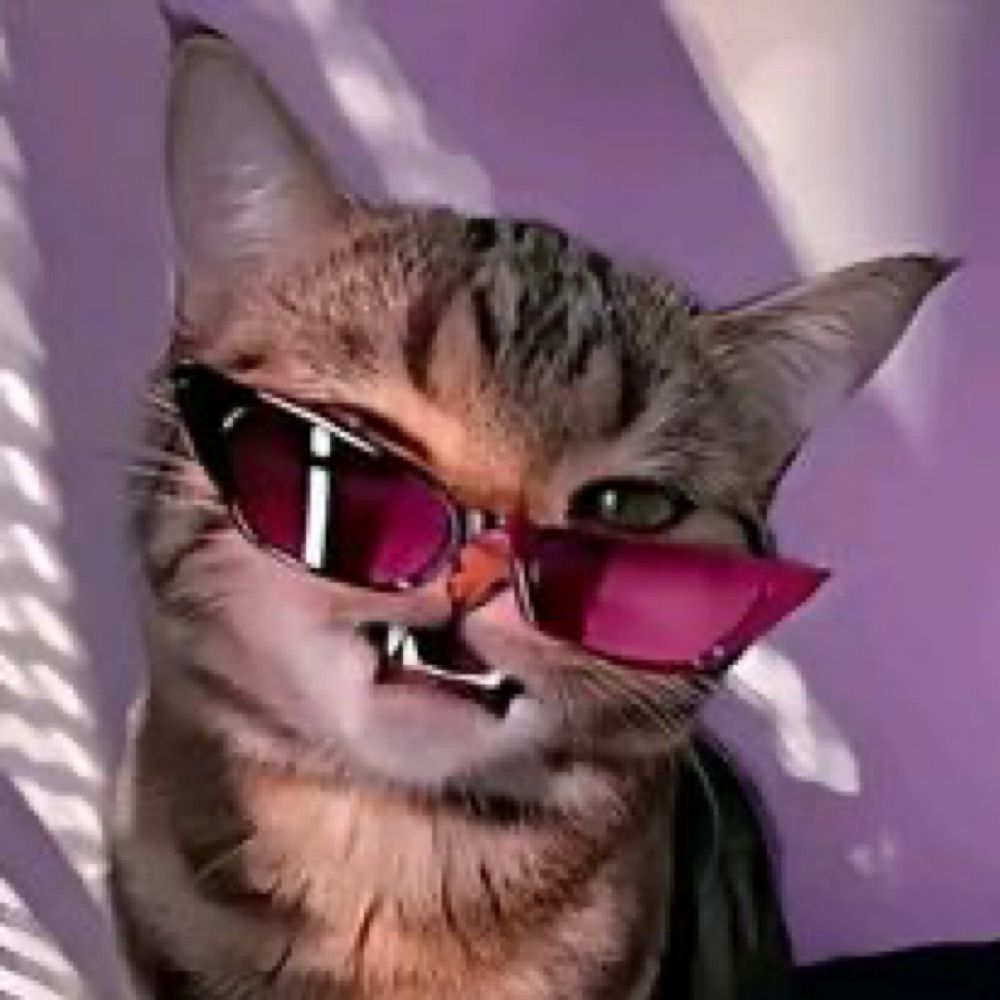 cool online dude
