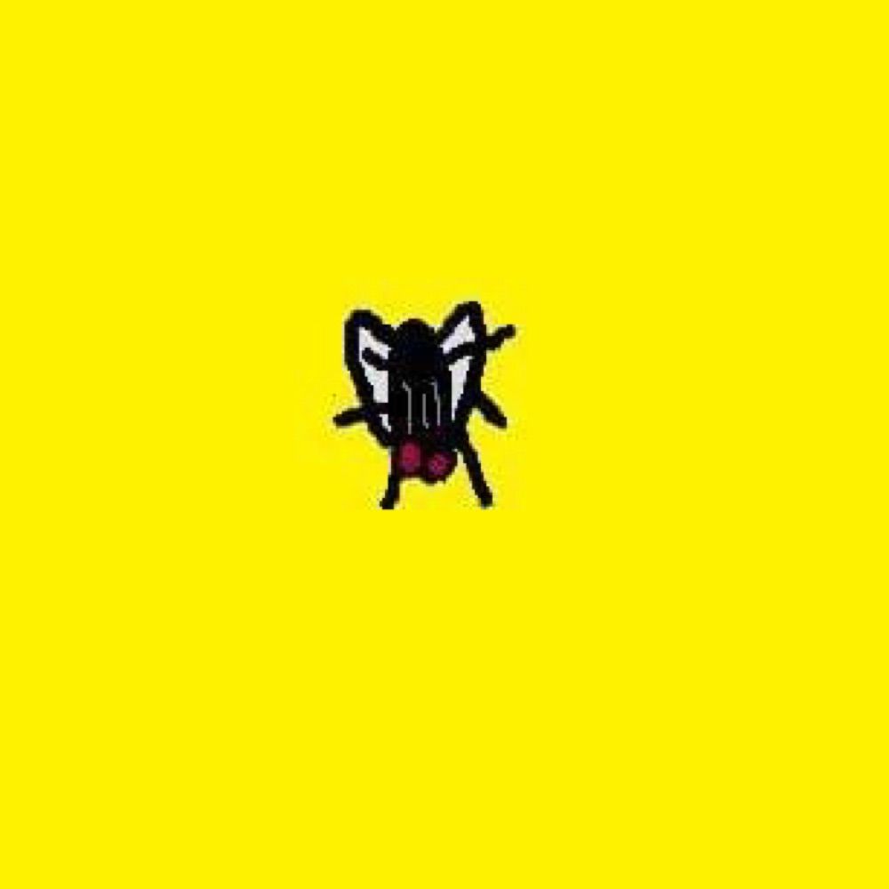 mquater