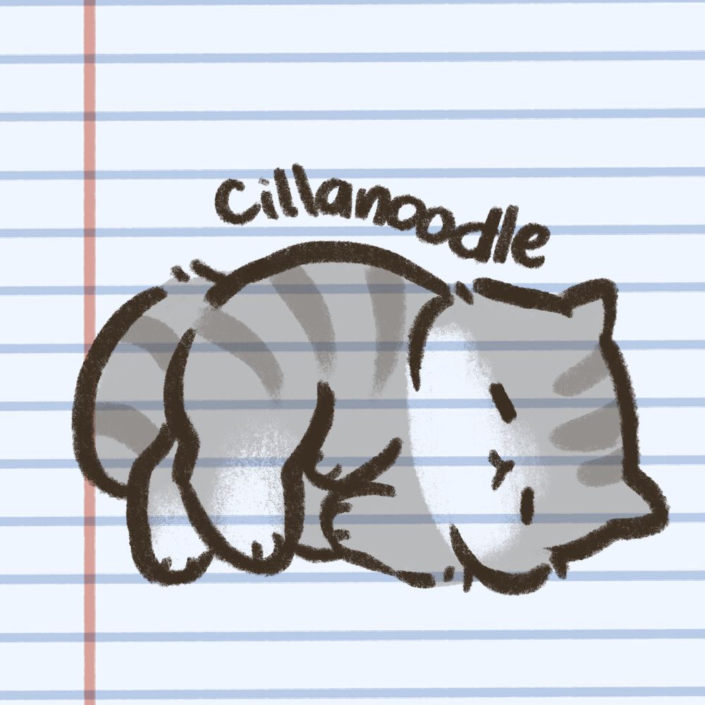 cillanoodle.bsky.social