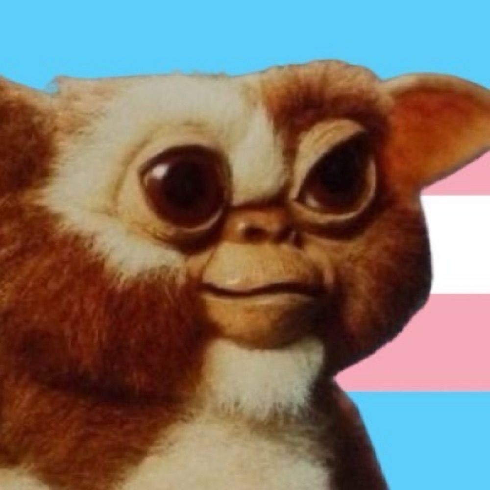 based gizmo 🏳️‍⚧️🇵🇸