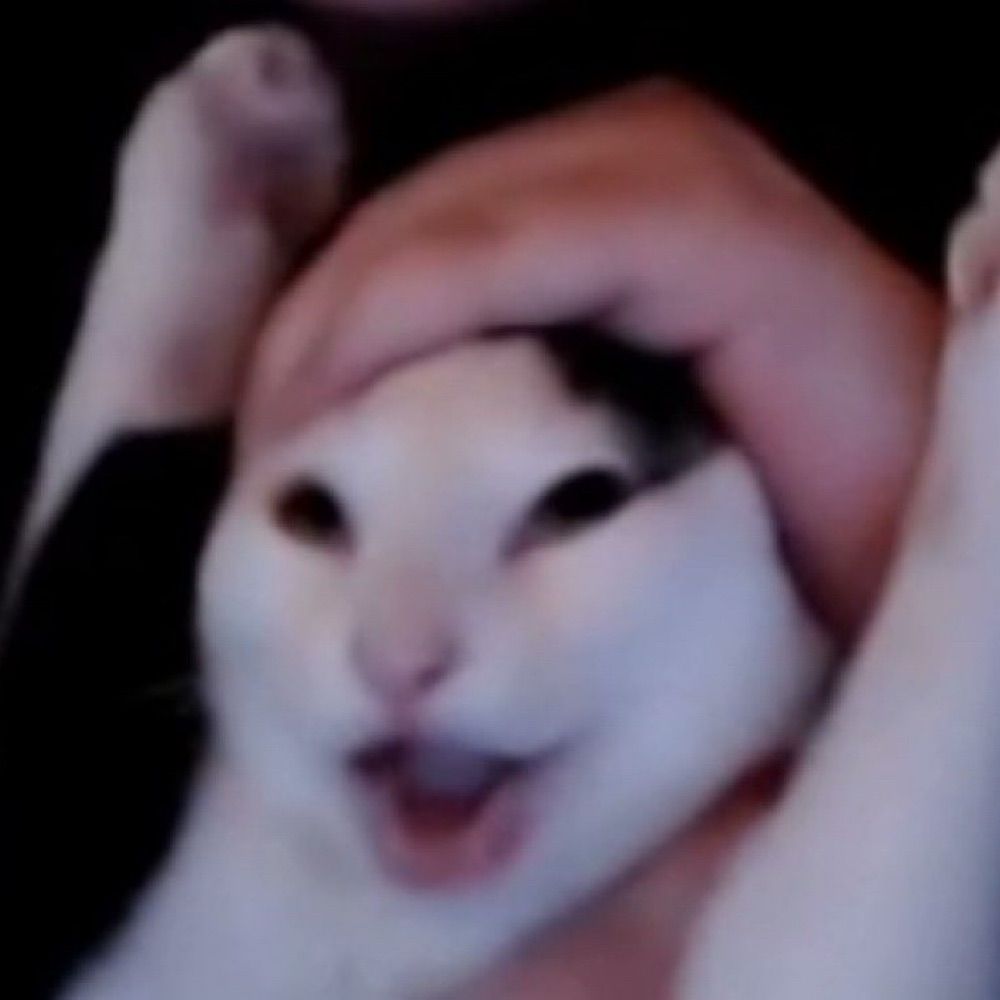 rammae