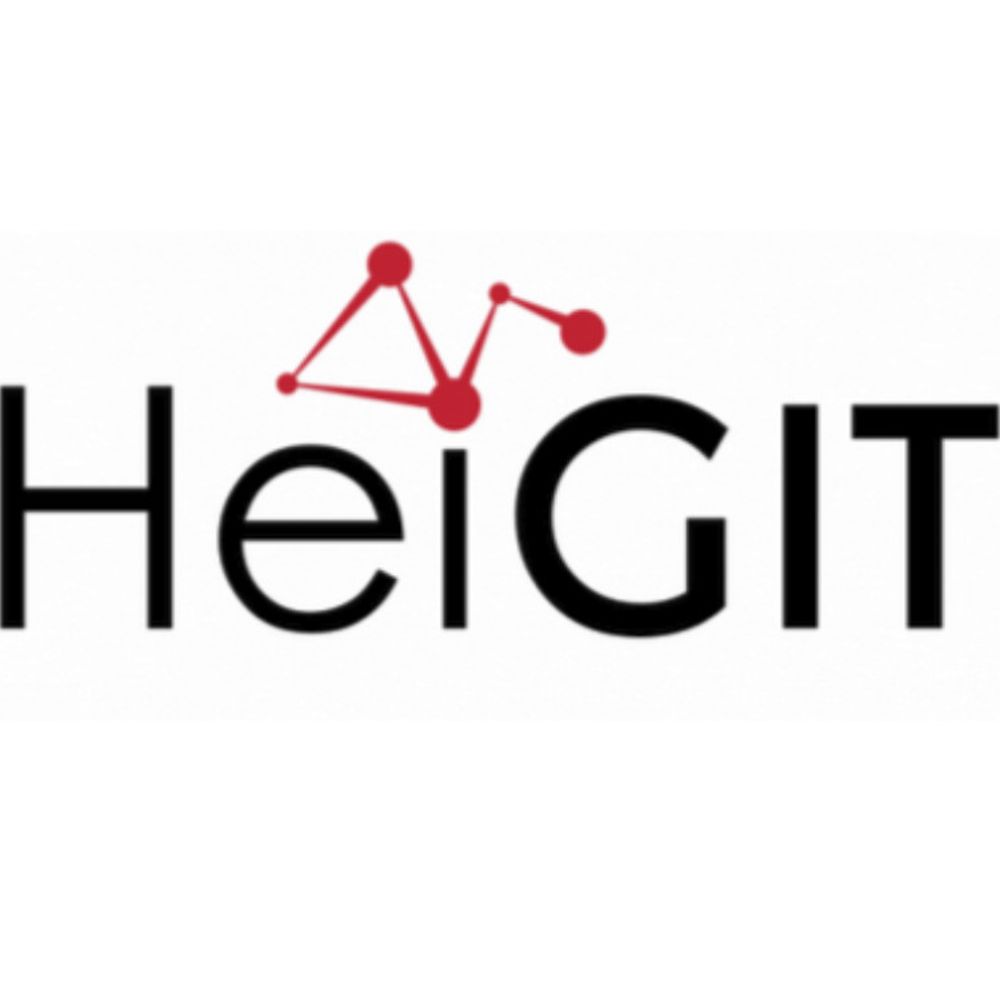 HeiGIT's avatar