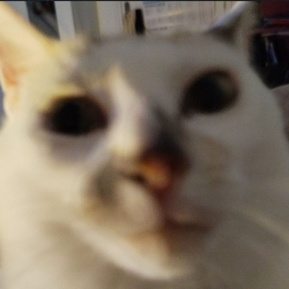 sshou