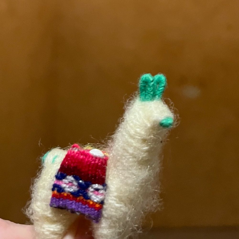 PAA Alpaca