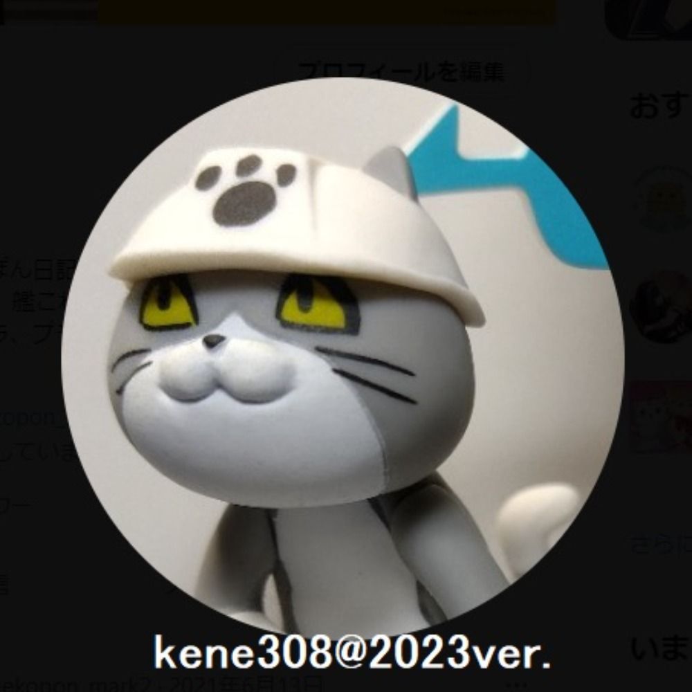 kene308