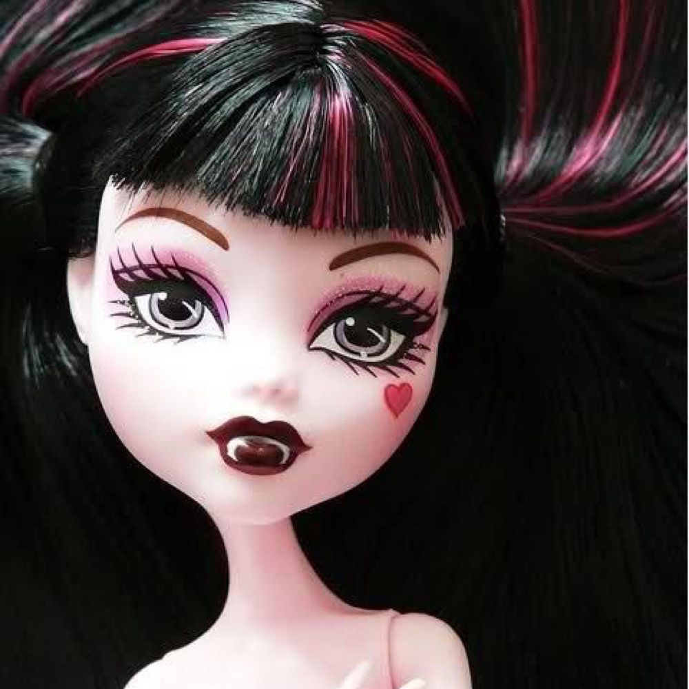 ⋆˚࿔ dolly 𝜗𝜚˚⋆