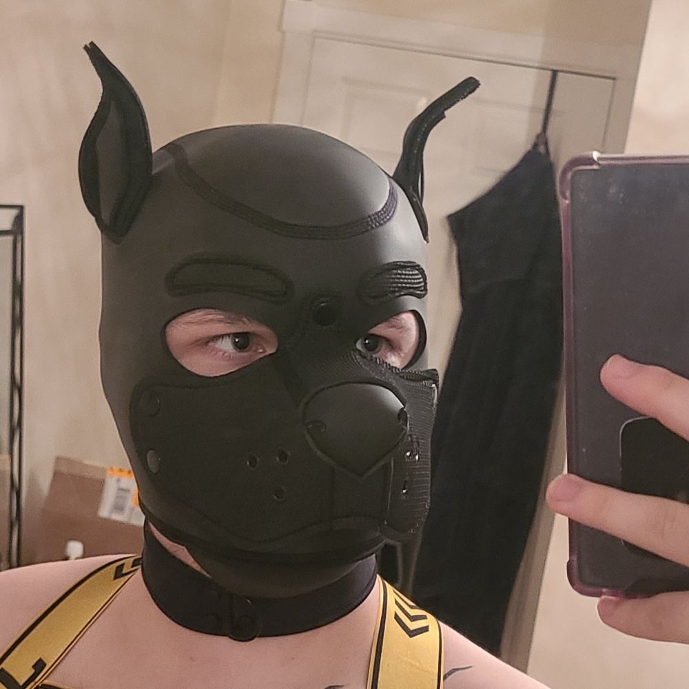 Pup_Rak