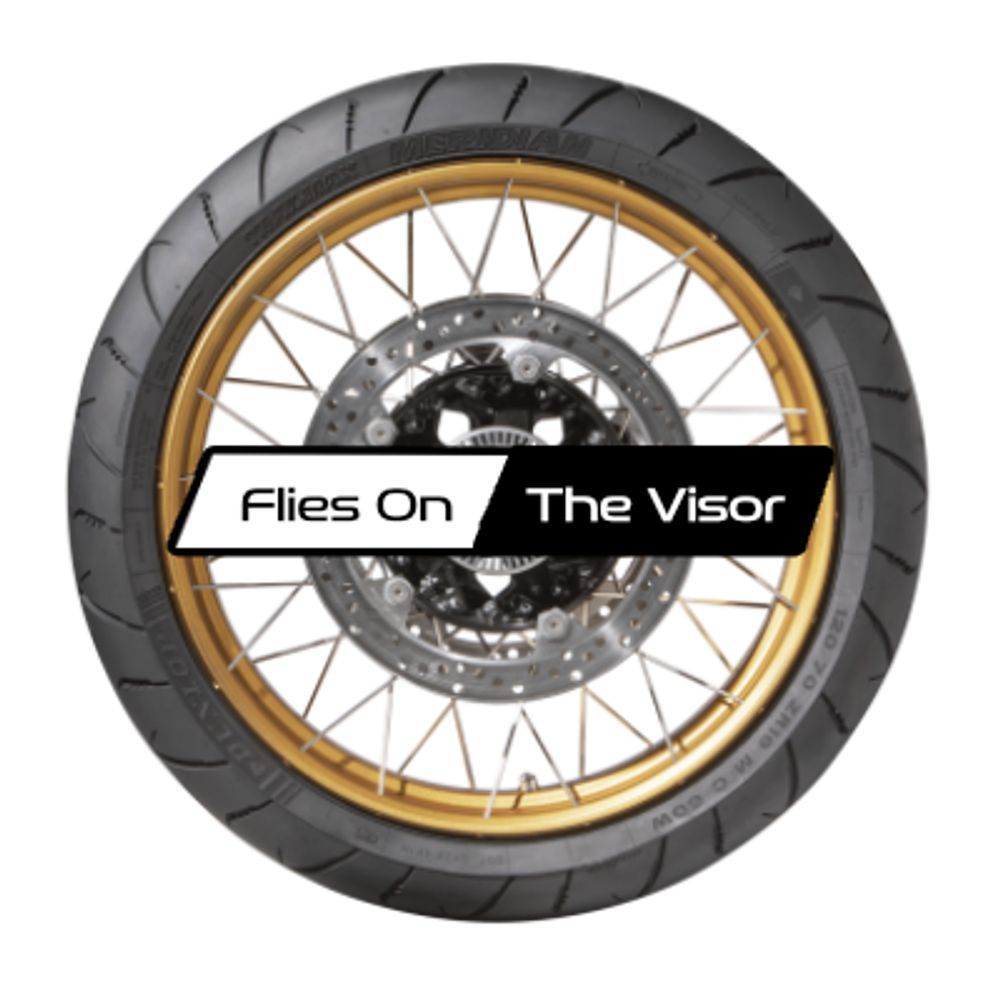 FliesOnTheVisor.com