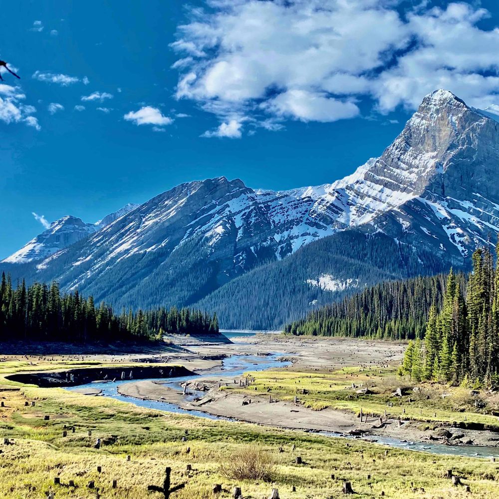 Land Lovers Network - Bow River Bioregion