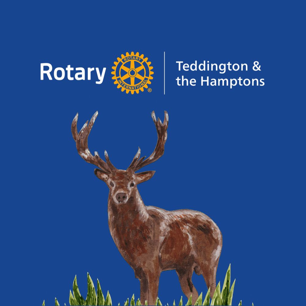 Rotary Club of Teddington & the Hamptons
