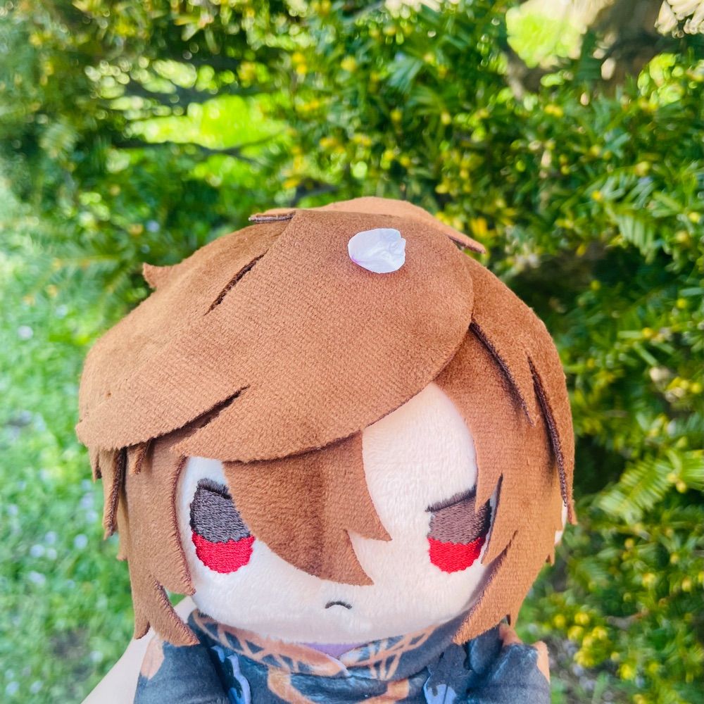 天月