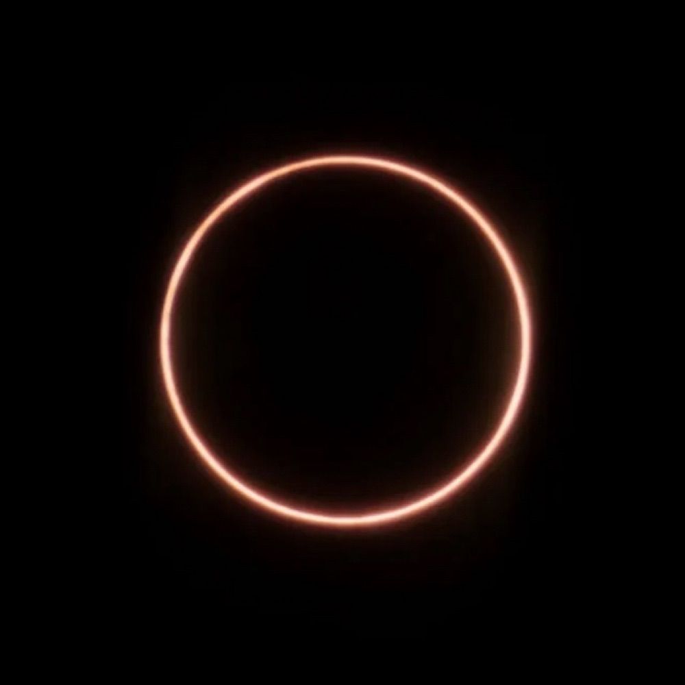 🔆 Cynic | Vels | Coil ❕