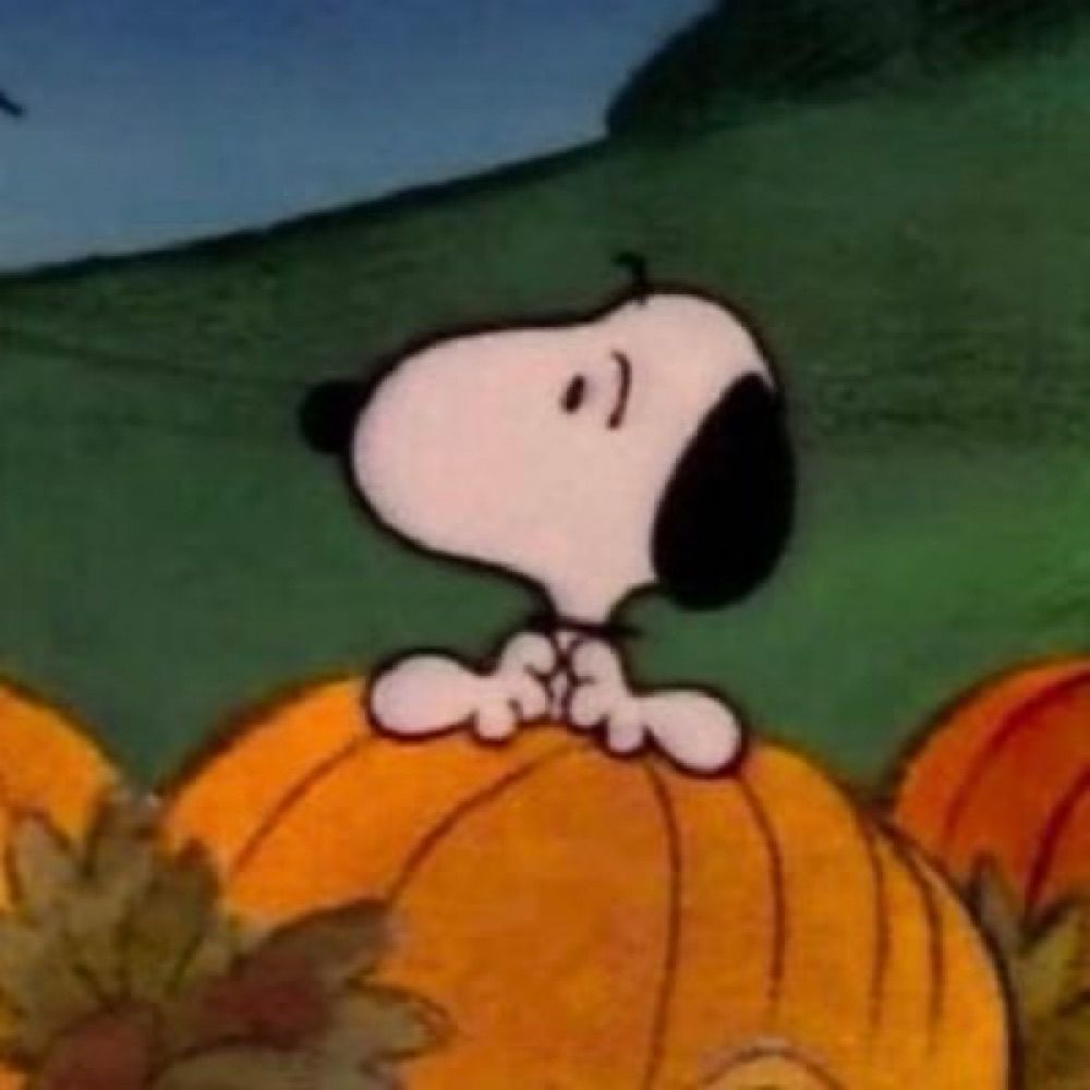 snoopy posters