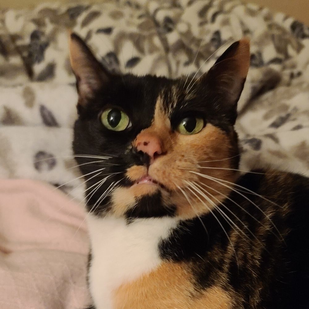 Megan