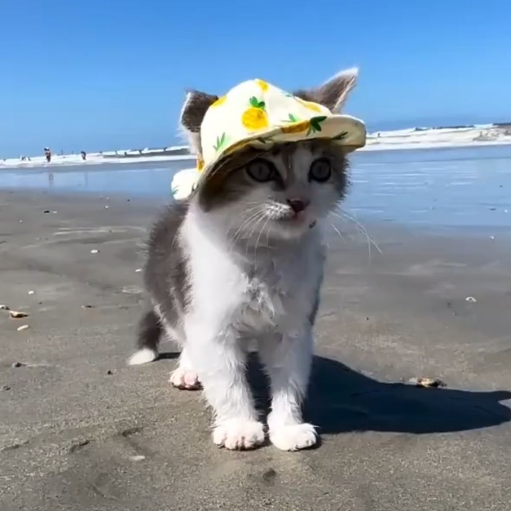 magicnosed