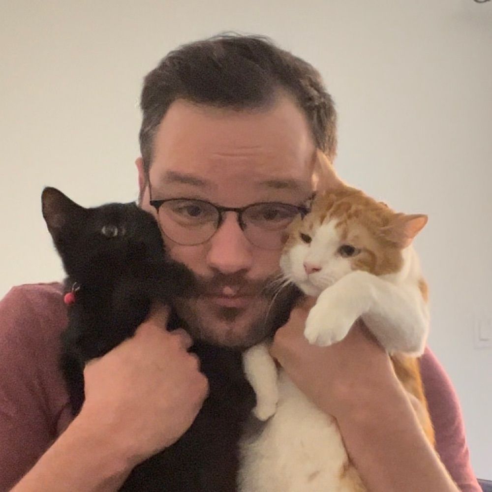 meowdotmp4