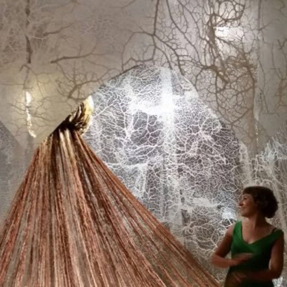 Heather Fitzke