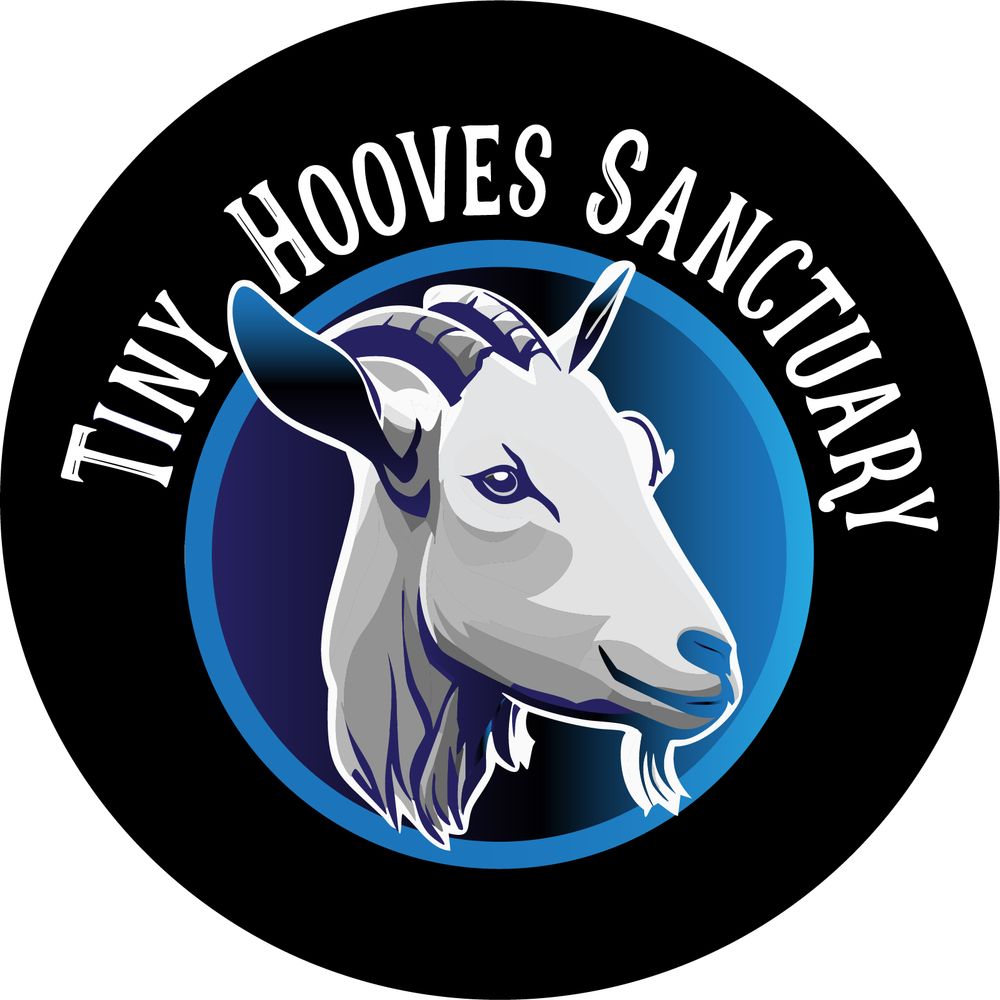 Tiny Hooves Sanctuary