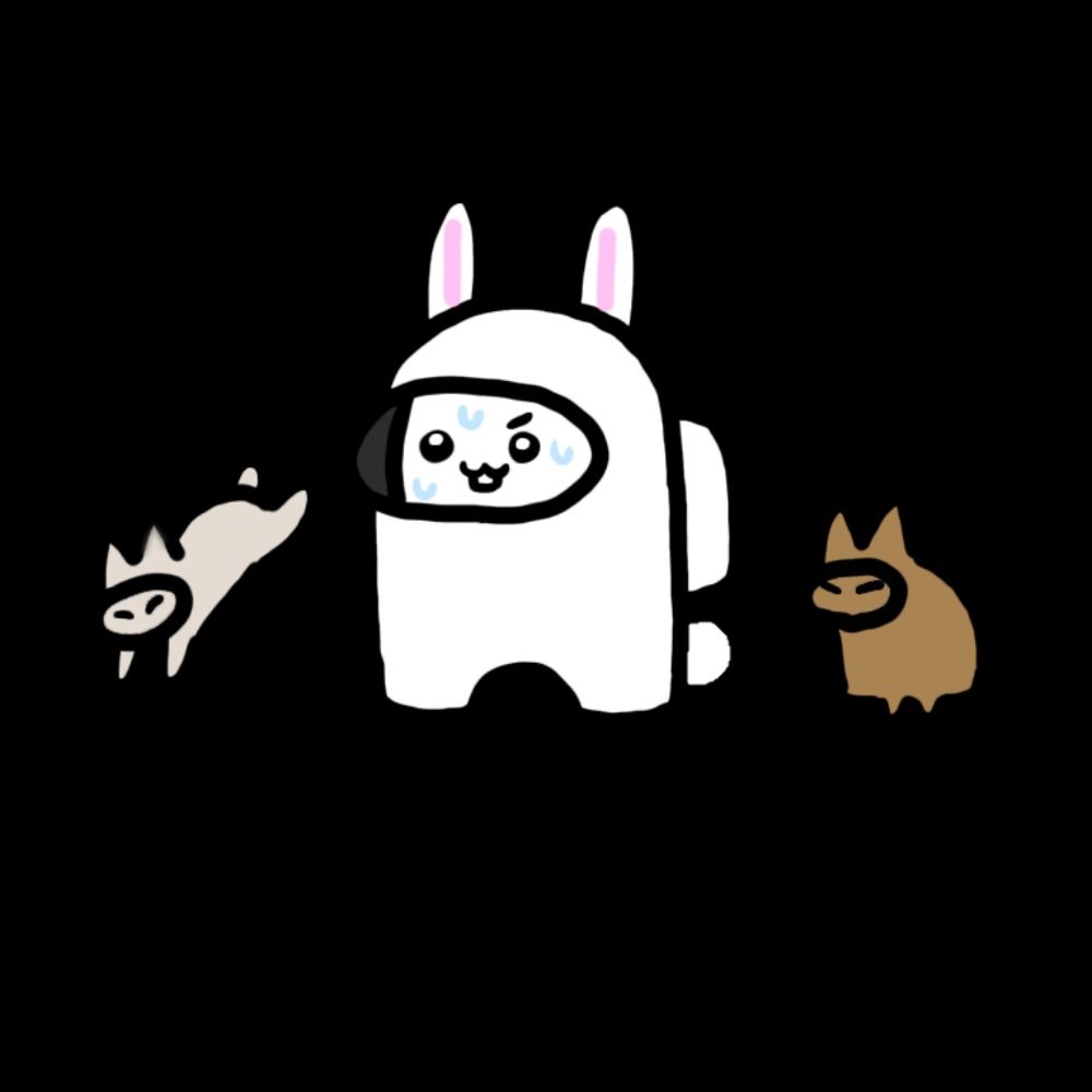 초코토끼