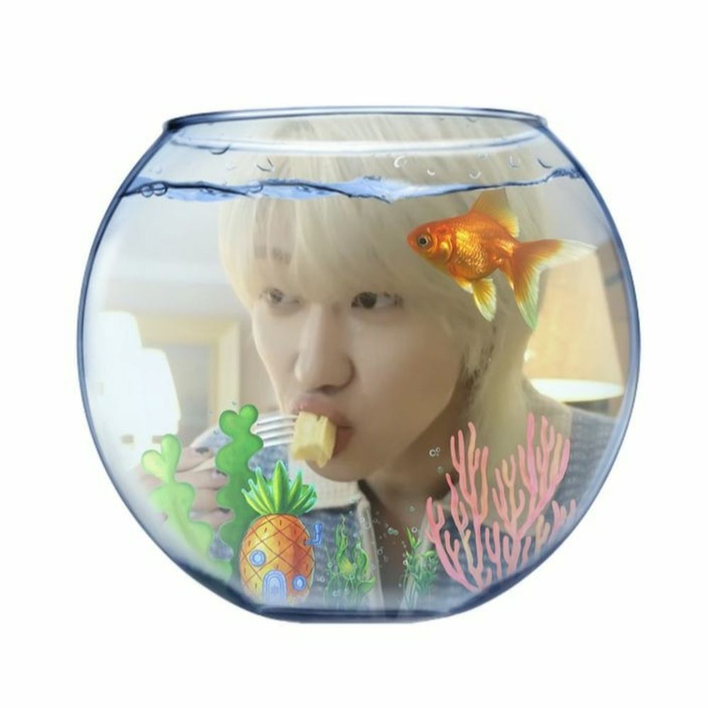⋆𐙚 ₊˚ ⊹♡